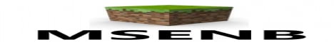 MSENB banner