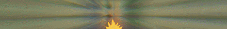 PokeWild banner