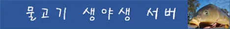 물고기 서버 banner