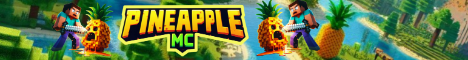 PineAppleMC banner