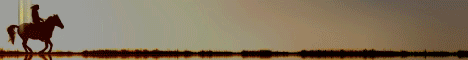 Pinecraft Equestrian banner