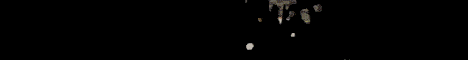 Zenith banner
