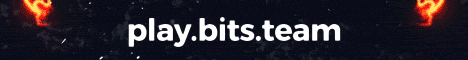 Bits banner