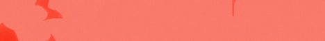 Valley Network banner