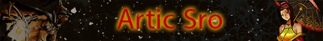 Artic Sro CAP 110 Play2Win Old School SILK/H banner
