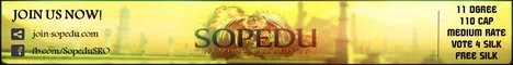 Sopedu SRO PVE CAP 110 Start 1000 Silk banner