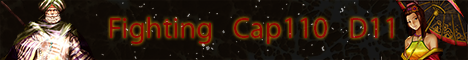 [FighTing Sro] CAP 110 | Play2Win | Old School | SILK/H banner