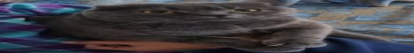 LetUsJustCreateSomething banner