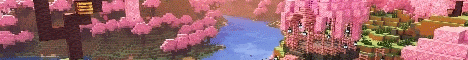 Broomstix banner