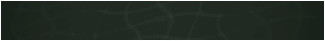 ReignMC banner