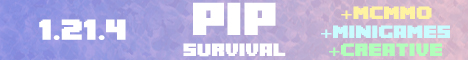 Pip banner