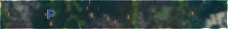 Playwn network banner
