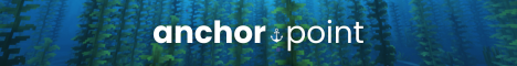 Anchorpoint banner