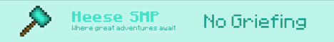 Heese SMP banner