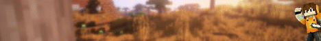 MegaCraft banner