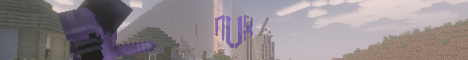 NVX Anarchy banner