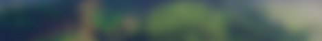 Genesis SMP banner