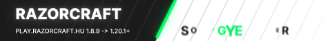 razorcraft banner