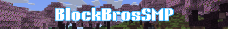 BlockBrosSMP banner