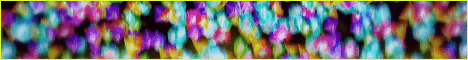 Plexo 95 banner