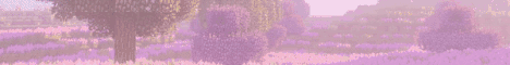 Pure Skyblock banner