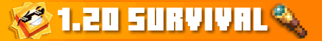 Sunny Survival banner