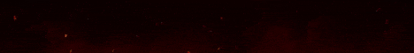 LifeforceSMP banner