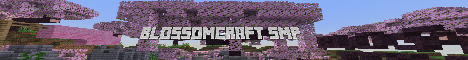 BlossomCraft SMP banner