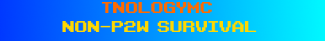 TnologyMC banner