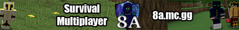 Eighth Allegiance SMP banner