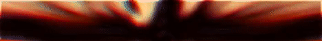 Anarchy Forever banner