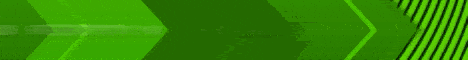 The Minecraft Society banner