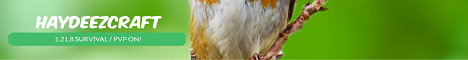 HaydeezCraft banner
