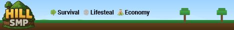 HillCity SMP banner