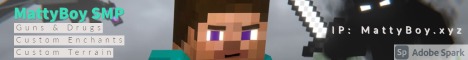 MattyBoy SMP banner