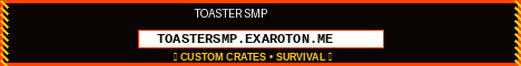 ToasterSMP banner