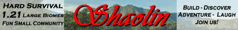 Shaolin banner