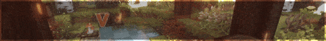 Vanguard MC banner