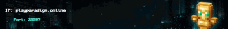 Paradigm banner