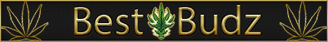 BestBudz - Arcade RSPS banner