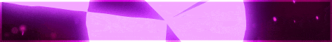 NetherSMP banner