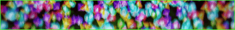 Evergrovesmp banner