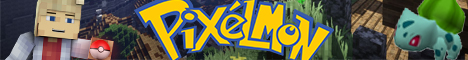 Pixel-Mon banner
