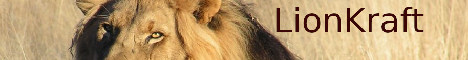 Lionkraft banner