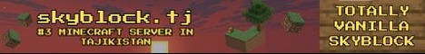 skyblock.tj banner