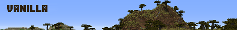 Steinercraft banner