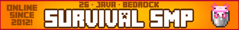 InsanityCraft banner