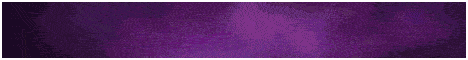 RuinMC banner