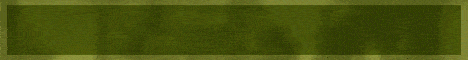 Minelife Survival banner