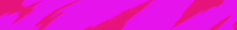 Space Network banner